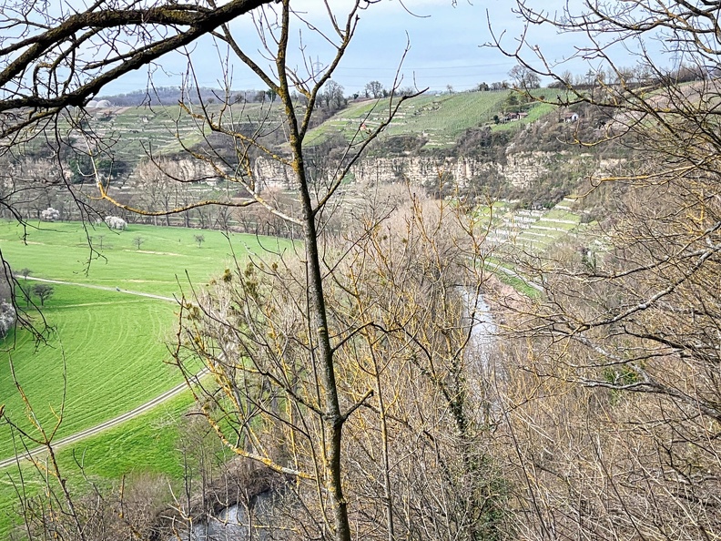 23-03-17 14-42-02 4922.jpeg